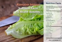 Romaine lettuce nutrition facts