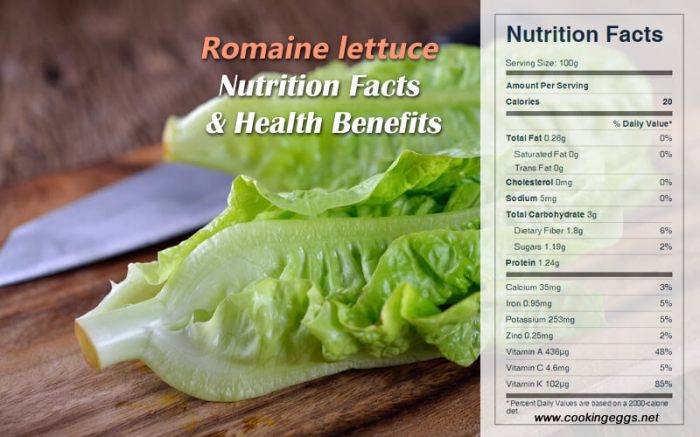 Romaine lettuce nutrition facts