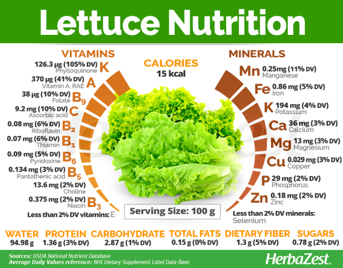 Romaine lettuce nutrition facts