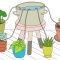 How to Water Plants Successfully