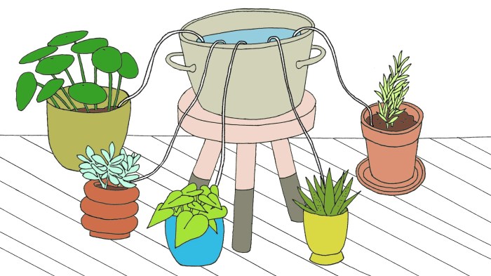 How to water plants