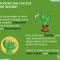 How to Water Cactus Plants