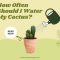 How Often Should You Water House Plants?