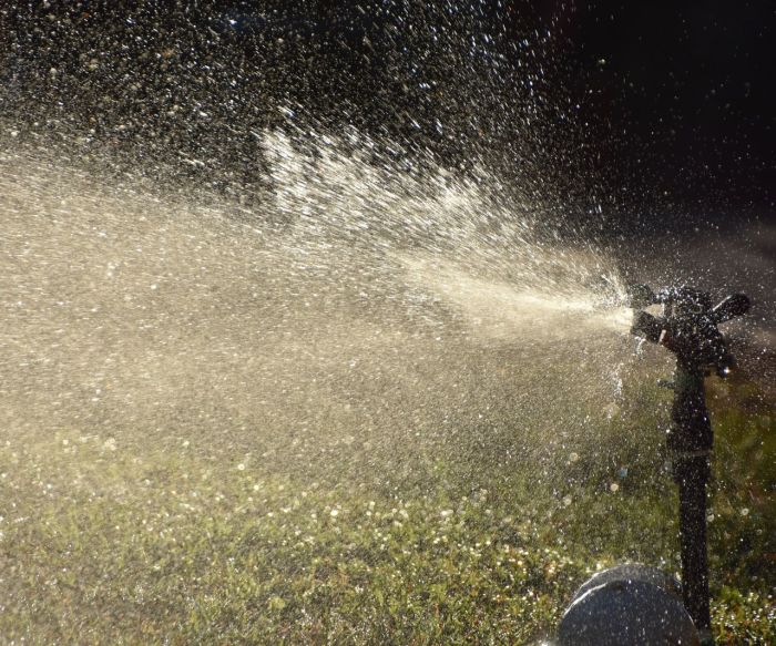 Can you water plants at night