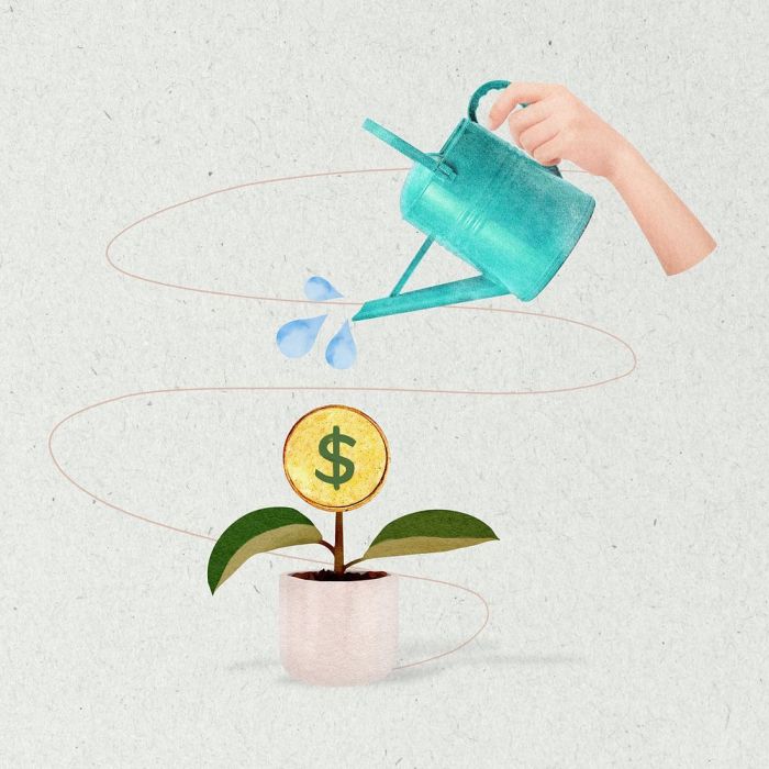 How do you water a money plant