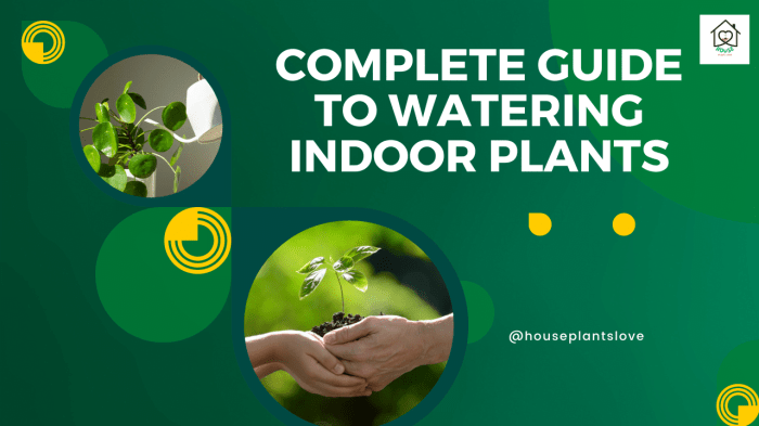 How often do you water indoor plants