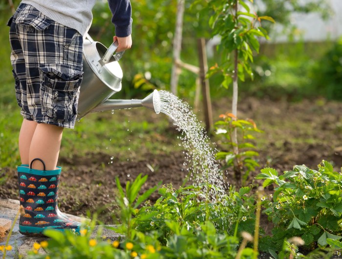 Do i need to water my outside plants